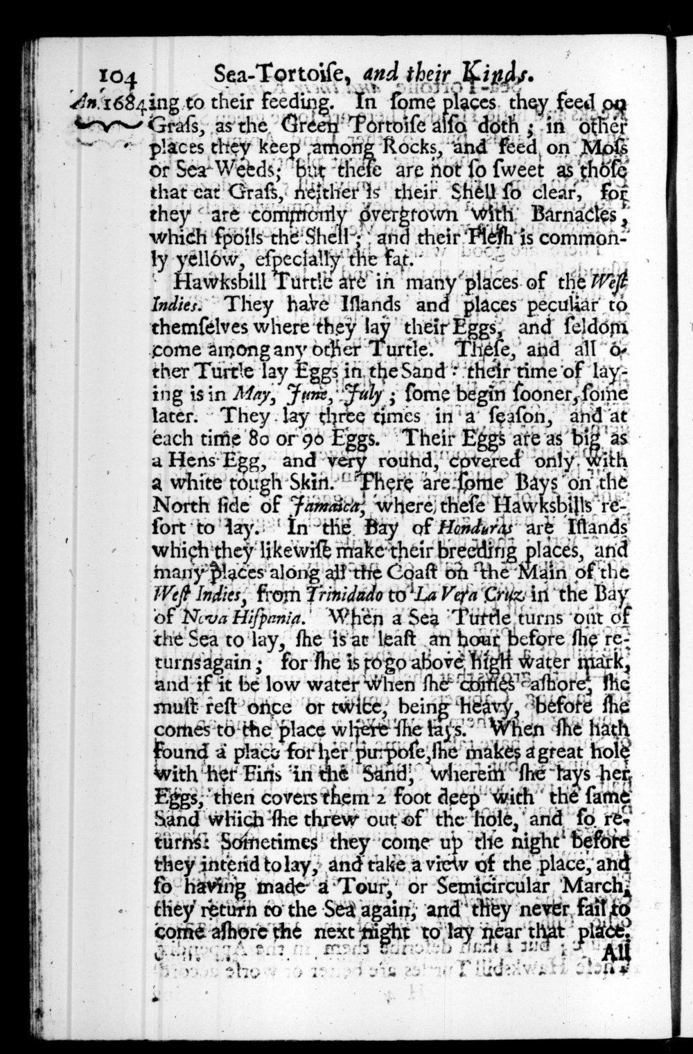 Page 104 screenshot of the book A New Voyage Round the World by William Dampier (1697 Edition).