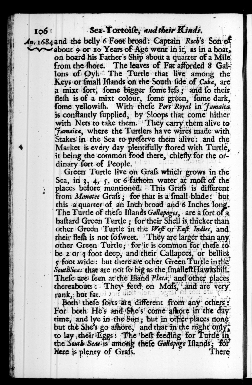 Page 106 screenshot of the book A New Voyage Round the World by William Dampier (1697 Edition).