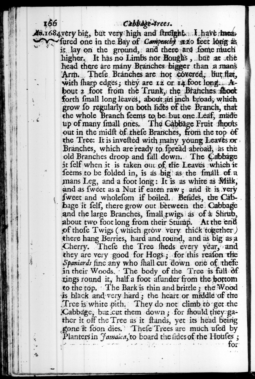 Page 166 screenshot of the book A New Voyage Round the World by William Dampier (1697 Edition).