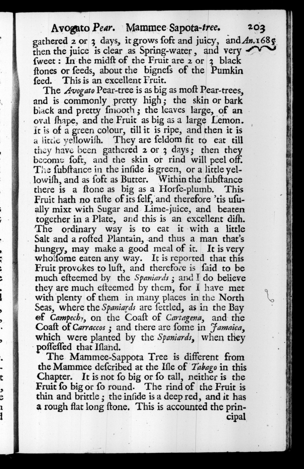 Page 203 screenshot of the book A New Voyage Round the World by William Dampier (1697 Edition).