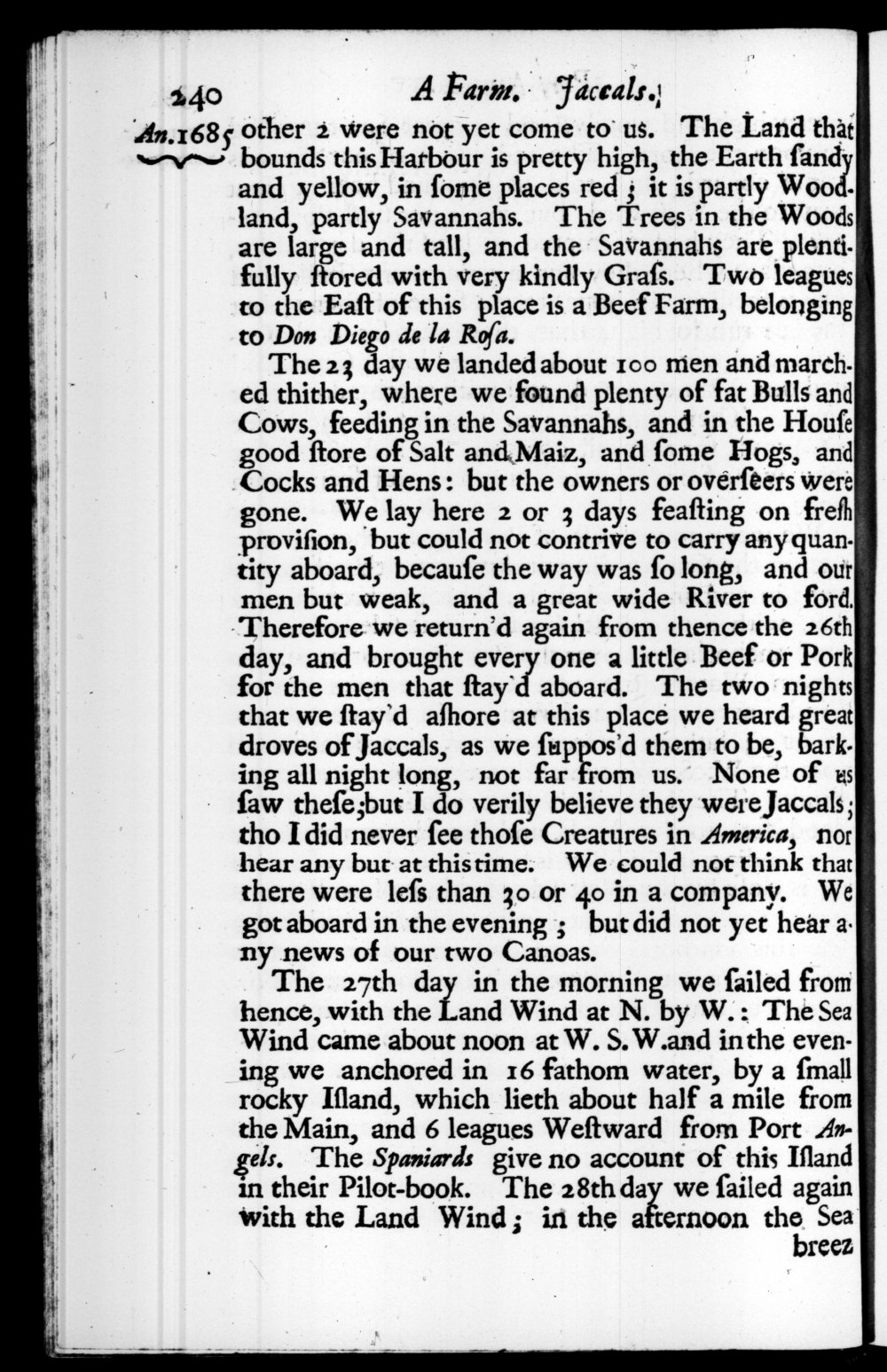 Page 240 screenshot of the book A New Voyage Round the World by William Dampier (1697 Edition).