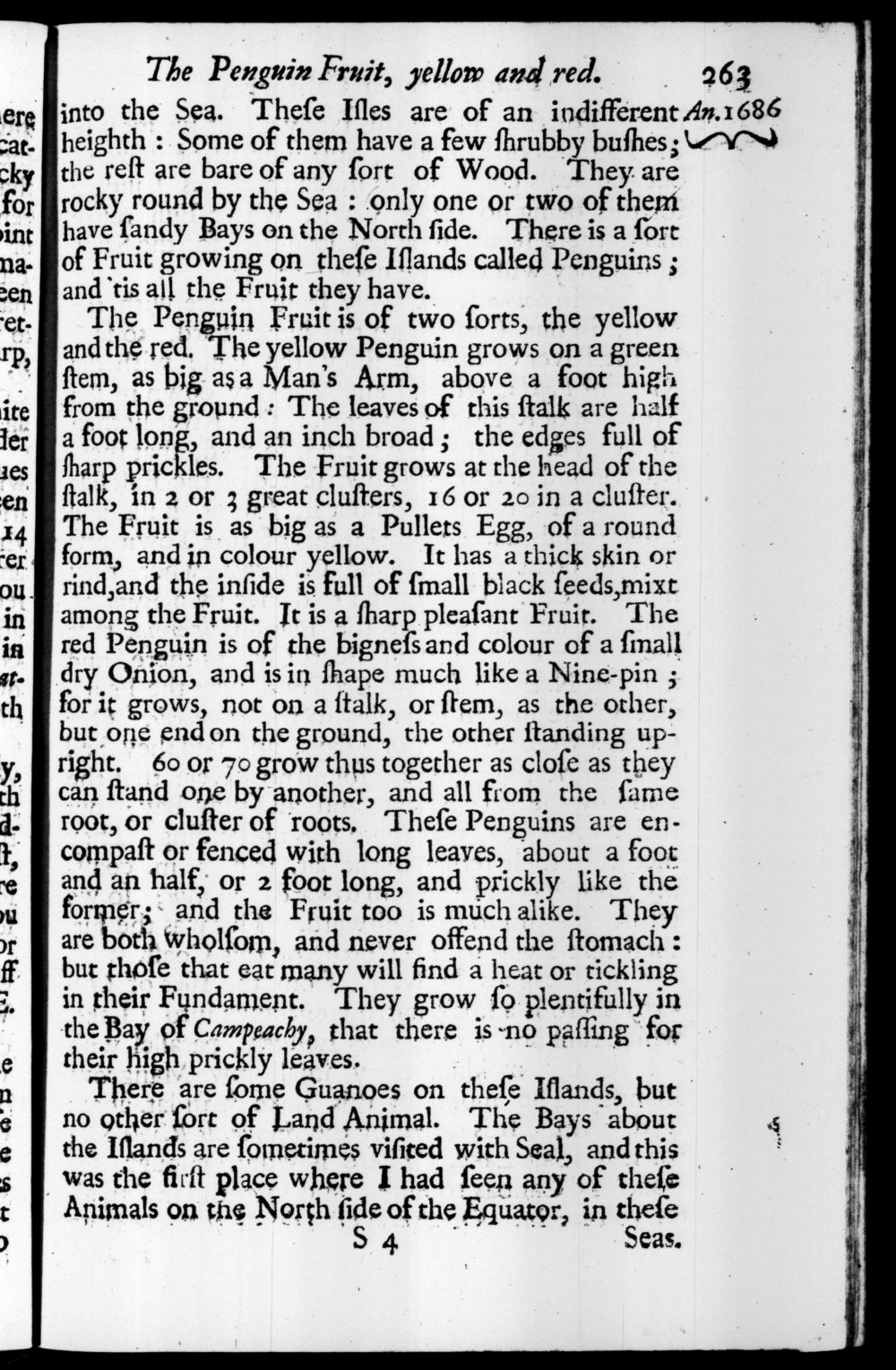 Page 263 screenshot of the book A New Voyage Round the World by William Dampier (1697 Edition).