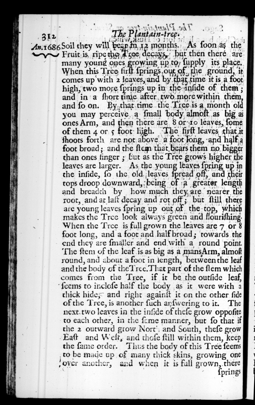 Page 312 screenshot of the book A New Voyage Round the World by William Dampier (1697 Edition).