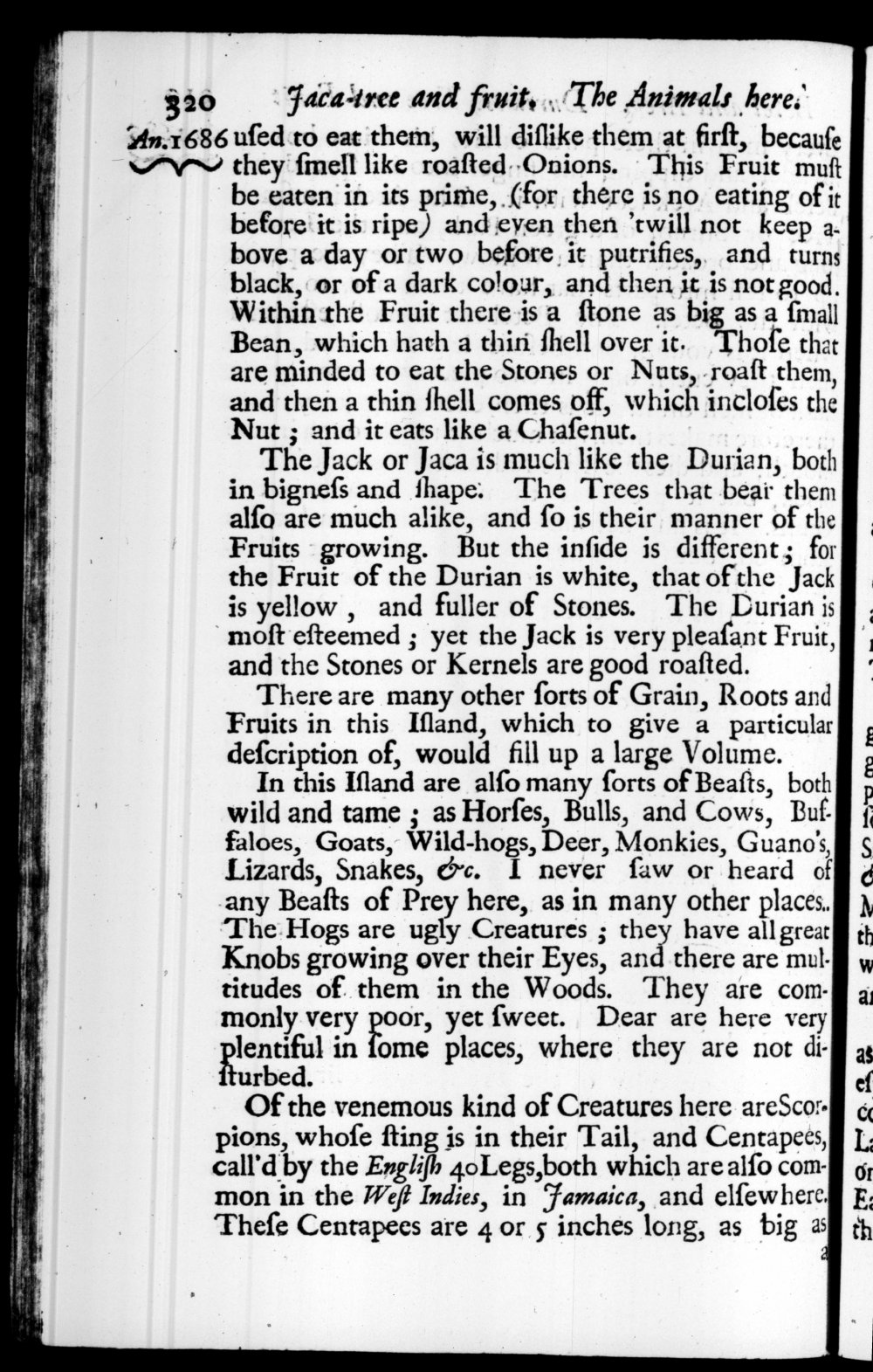 Page 320 screenshot of the book A New Voyage Round the World by William Dampier (1697 Edition).