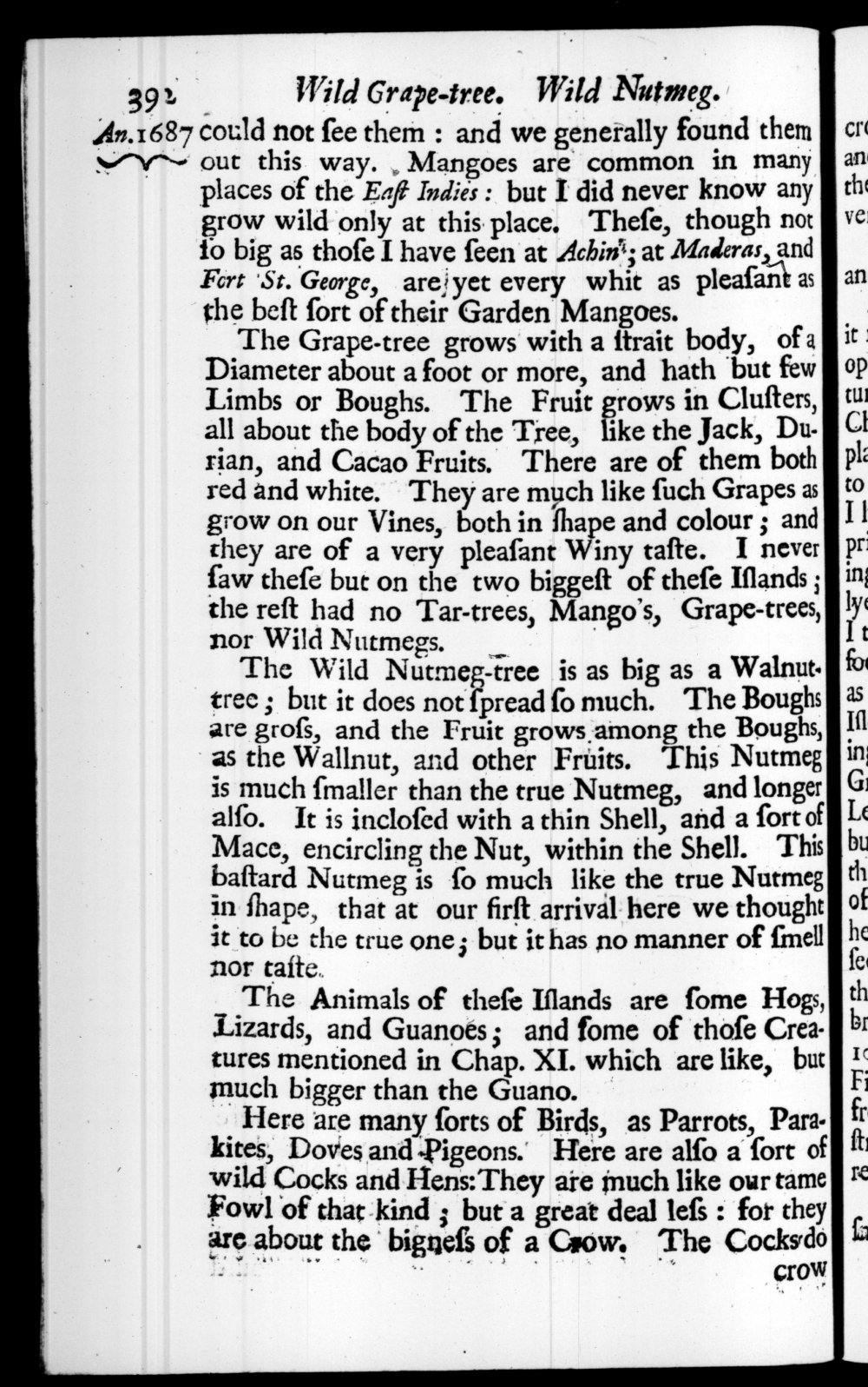 Page 392 screenshot of the book A New Voyage Round the World by William Dampier (1697 Edition).