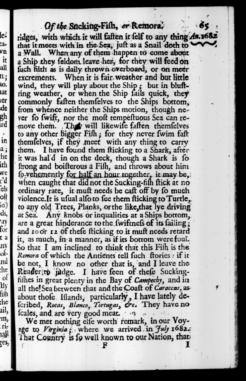 Page 65 screenshot of the book A New Voyage Round the World by William Dampier (1697 Edition).