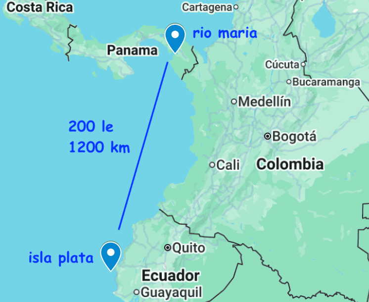 A map showing distance between Plata Island and River Maria.